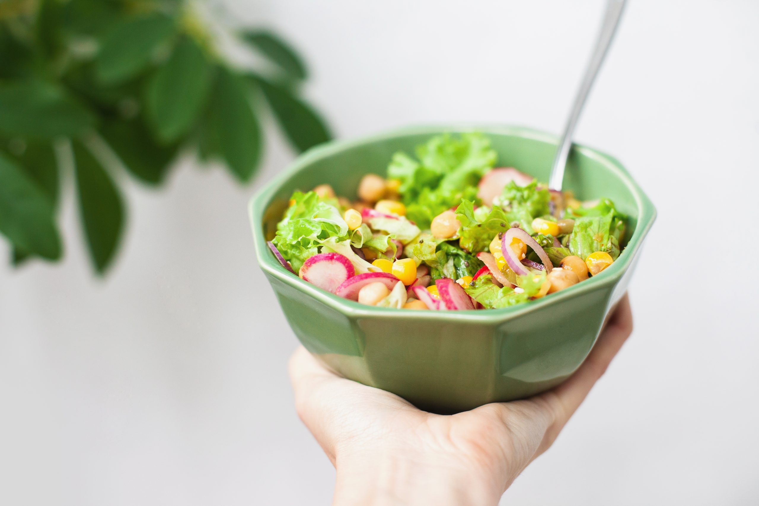 FOODSHIFT-plant_based_diet_fablab_bnc_holding-a-green-bowl-of-salad-healthy-eating-food