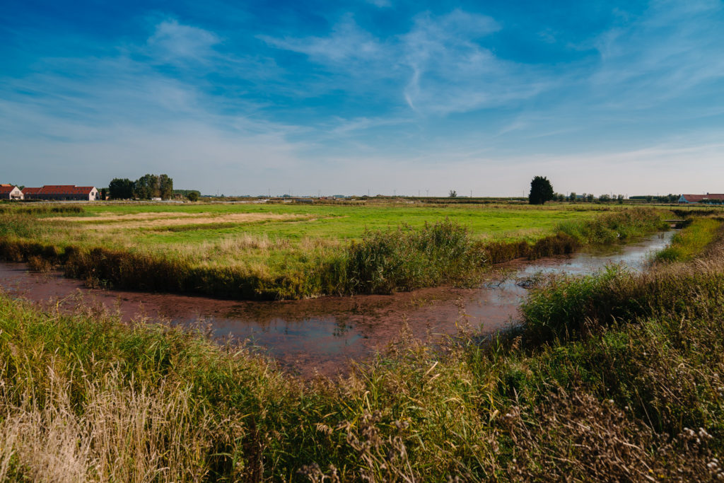 Gardens of Stene image in Ostend - a green field with a pond and blue sky